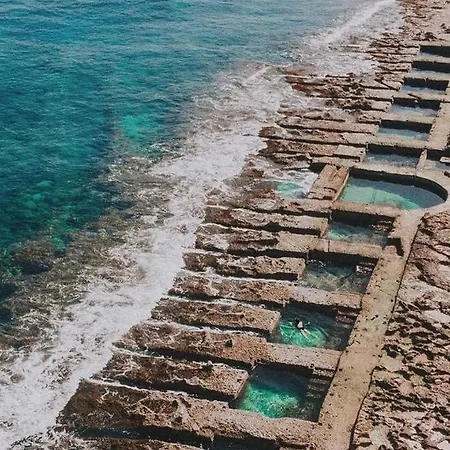 Апартаменты Bright Bookworm's Haven *